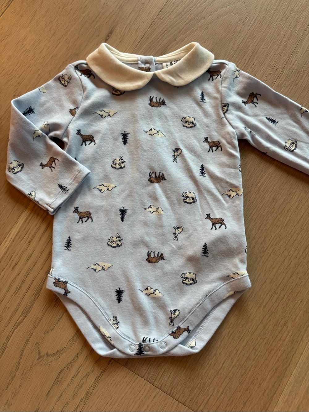 Janie + Jack Long Sleeve Onesie, 6-12 months